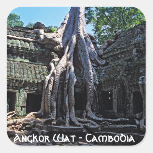 Ruin von Ta Prohm - Angkor Wat, Kambodscha, Asien Quadratischer Aufkleber