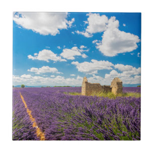 Ruine auf einem Lavendelfeld, Frankreich Fliese