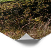 Ruine in irisch-felsiger Landschaft Poster (Ecke)