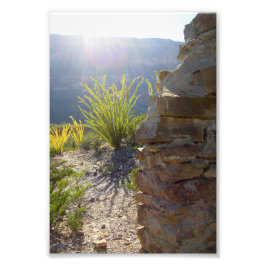 Ruined adobe house, Big Bend National Park, Texas Fotodruck