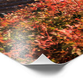 Ruinen Athina Pronaia Tempel Fotodruck (Ecke)