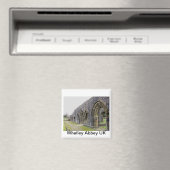 Ruinen der Abtei Magnet (In Situ (Geschirrspüler))