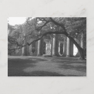 Ruinen der alten Sheldon Kirche in Yemassee, SC Postkarte