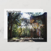 Ruinen der Old Sheldon Church Postkarte (Vorne/Hinten)