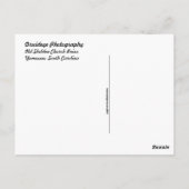 Ruinen der Old Sheldon Church Postkarte (Rückseite)