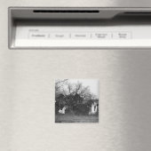 Ruinen des Bauernhauses Magnet (In Situ (Geschirrspüler))