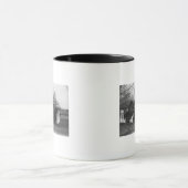 Ruinen des Bauernhauses Tasse (Zentrum)