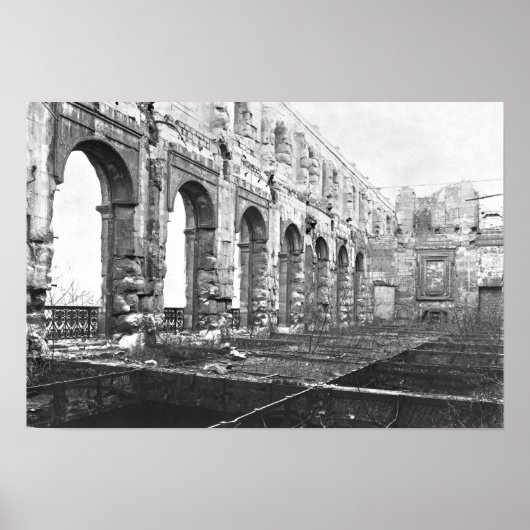 Ruinen des Cour des Comptes Poster (Vorne)