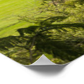 Ruinen in den Pyramiden, Sayulita, Nayarit, Mexiko Poster (Ecke)