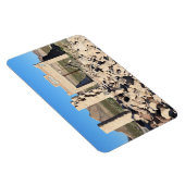 Ruinen in Rhyolite Ghost Town, Nevada Magnet (Rechte Seite)