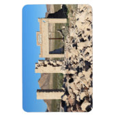 Ruinen in Rhyolite Ghost Town, Nevada Magnet (Vertikal)