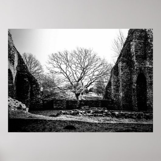 Ruinen Poster (Vorne)