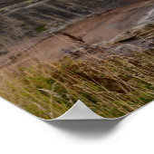 Ruinen von St Andrew Poster (Ecke)