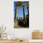 Ruinen von Windsor Poster (Küche)