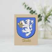 Ruiz Familie Heraldic Shield Postkarte (Stehend Vorderseite)