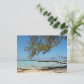 Rum Point - Cayman Islands Postkarte (Stehend Vorderseite)