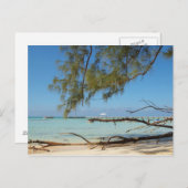 Rum Point - Cayman Islands Postkarte (Vorne/Hinten)