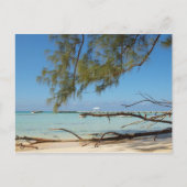Rum Point - Cayman Islands Postkarte (Vorderseite)