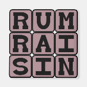 Rum Raisin, Eiscreme-Geschmack Magnet (Vorne)