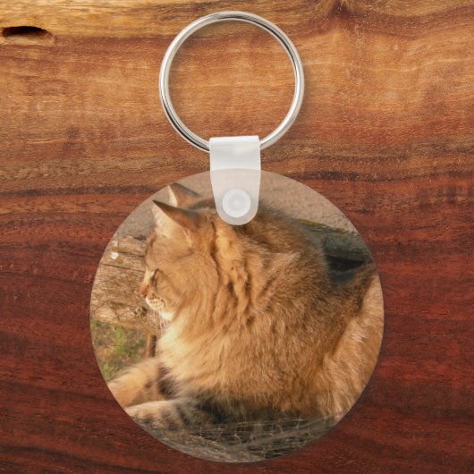 Rum Tum Tiggle Schlüsselanhänger (Vorderseite)