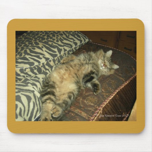 Rum Tum tummy Mousepad (Vorne)