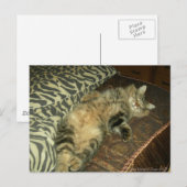 Rum Tum tummy Postkarte (Vorne/Hinten)