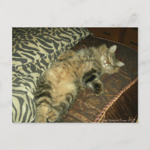 Rum Tum tummy Postkarte