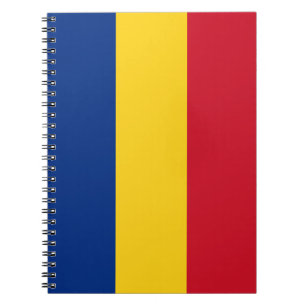 Rumänien-Flagge Notizblock