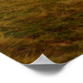 Rumänien, Moldau, orthodoxe Holzkirche Poster (Ecke)