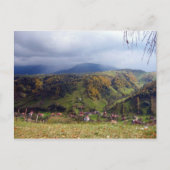 Rumänien Postkarte (Vorderseite)