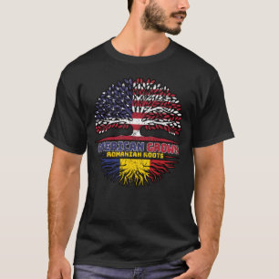 Rumänien Rumänien USA USA USA Vereinigte Staaten T-Shirt