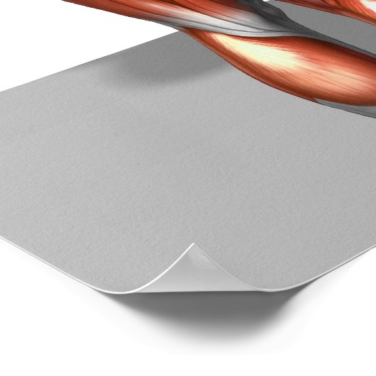 Rumänischer Todesstoß Poster (Ecke)