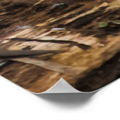 Rumhängen Poster (Ecke)