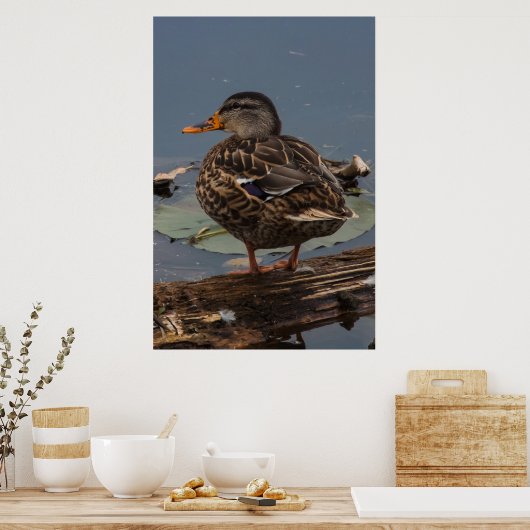 Rumhängen Poster (Küche)