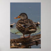 Rumhängen Poster (Vorne)