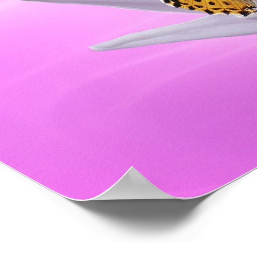 Rumi Beauty Poster (Ecke)