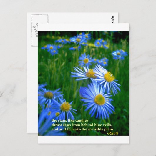Rumi-Blue Postkarte (Vorne/Hinten)