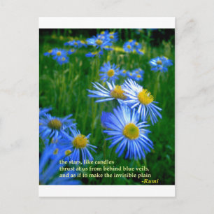 Rumi-Blue Postkarte