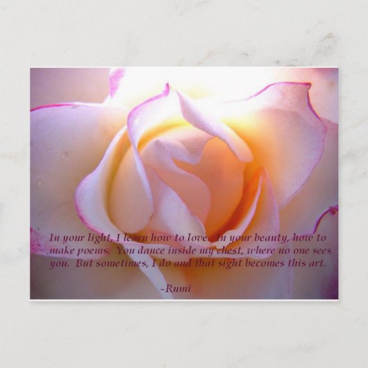 Rumi loverose Postkarte (Vorderseite)