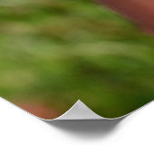 Rumi Quote Poster (Ecke)