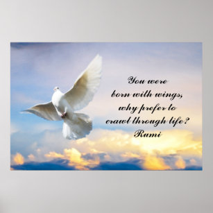 Rumi Sie waren geboren mit Flügeln Poster