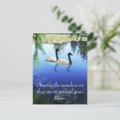 Rumi The Wunders Postkarte (Stehend Vorderseite)