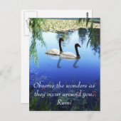 Rumi The Wunders Postkarte (Vorne/Hinten)