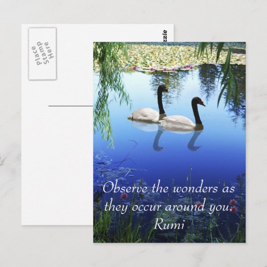 Rumi The Wunders Postkarte (Vorne/Hinten)