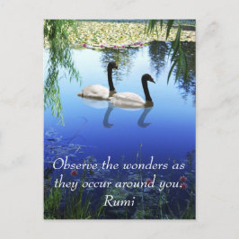 Rumi The Wunders Postkarte