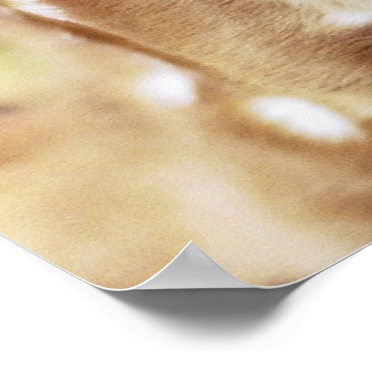 Rumi Wherever, du stehst Poster (Ecke)