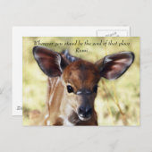 Rumi Wherever, du stehst Postkarte (Vorne/Hinten)