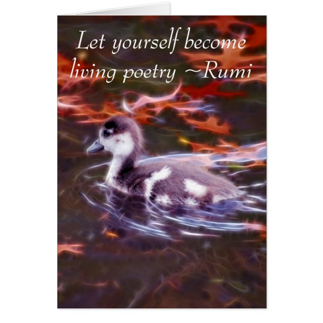 Rumi wird lebende Poesie (Vorne)