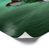 Rummynose Tetras Corydoras Aquarium Fisch Poster (Ecke)