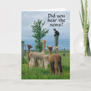 RUMOR IST, DASS **55. GEBURTSTAG** NICHT SO SCHLEC KARTE